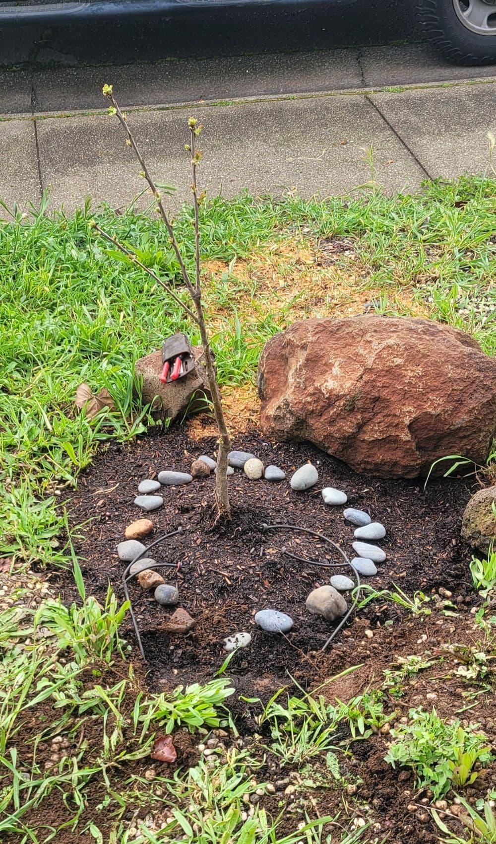 Landscape design image