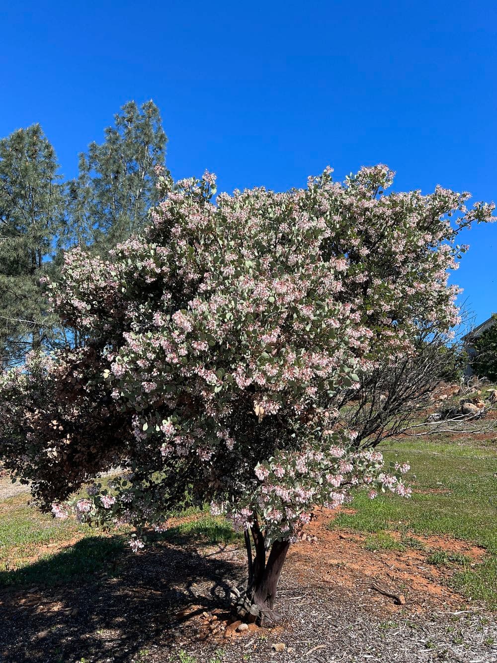 Landscape Installation image